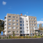 Fachaleta de Piedra Natural Delgada - Caja: 10 unidades - Otoño
